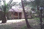 INGRANDISCI